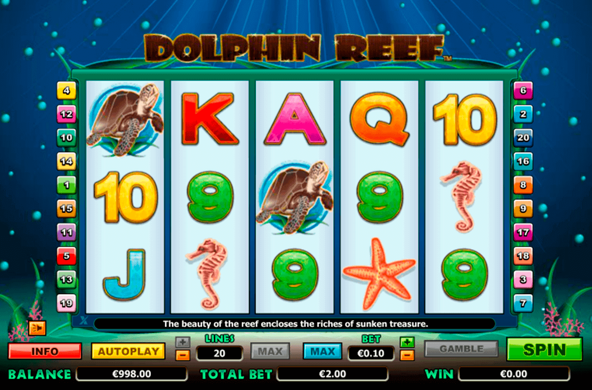 dolphin reef netgen gaming kolikkopelit