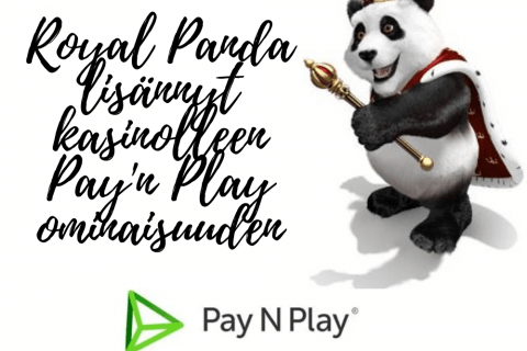 Royal Panda lisännyt kasinolleen Payn Play ominaisuuden