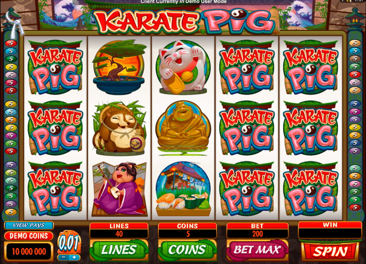 karate pig microgaming kolikkopelit