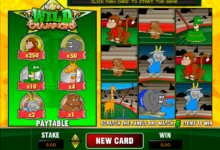 wild champions microgaming raaputusarvat