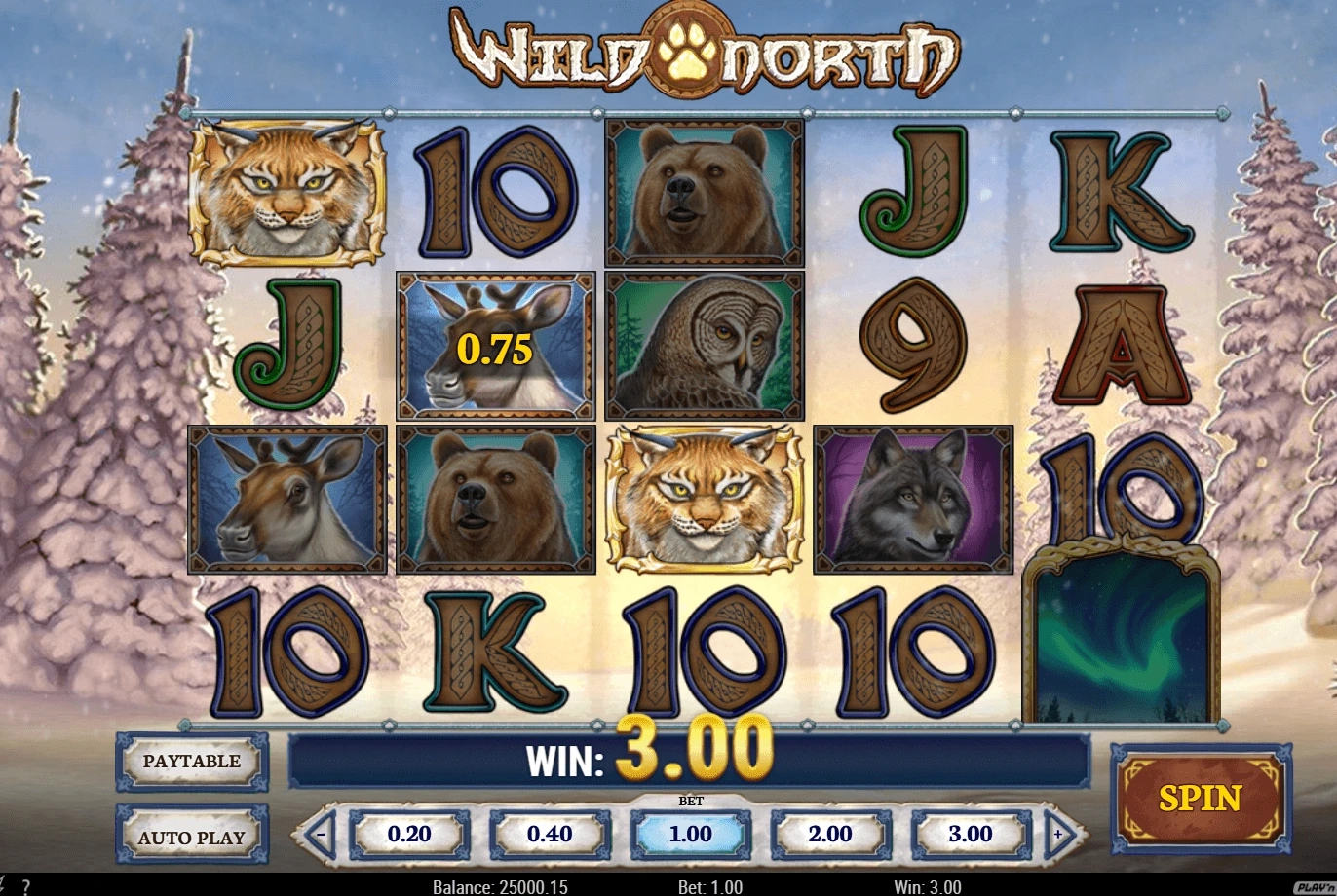 playn go wild north kolikkopelin peliruutu